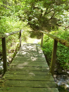 Wooden Bridge Along Rogue River Trail