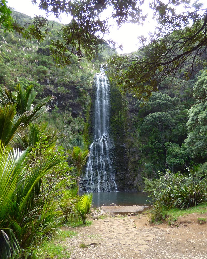 Taraire Track Falls