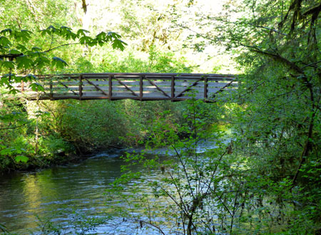 One of the many bridges at Silver Falls State Park