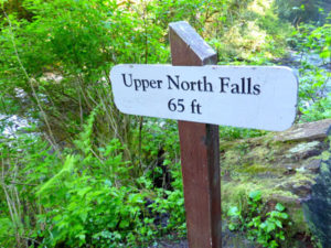 Signage for Upper Falls at Silver Falls State Park