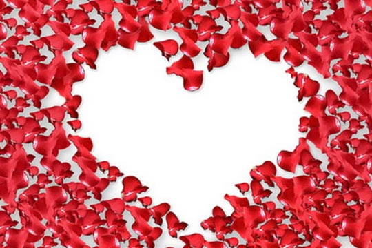 Heart Made Out of Valentine Rose Pedals