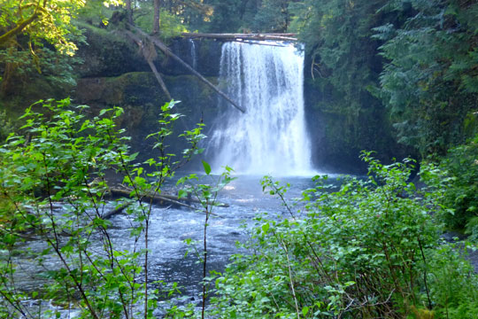 Silver Falls State Park: Natural Beauty and Waterfalls